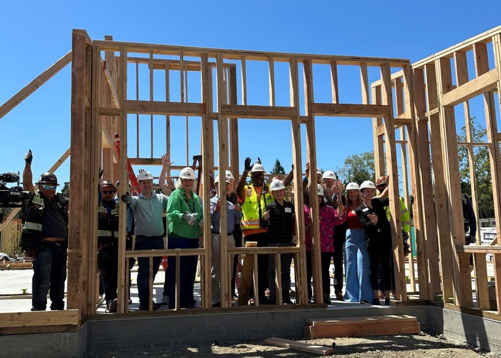 Mahonia Glen wall raising