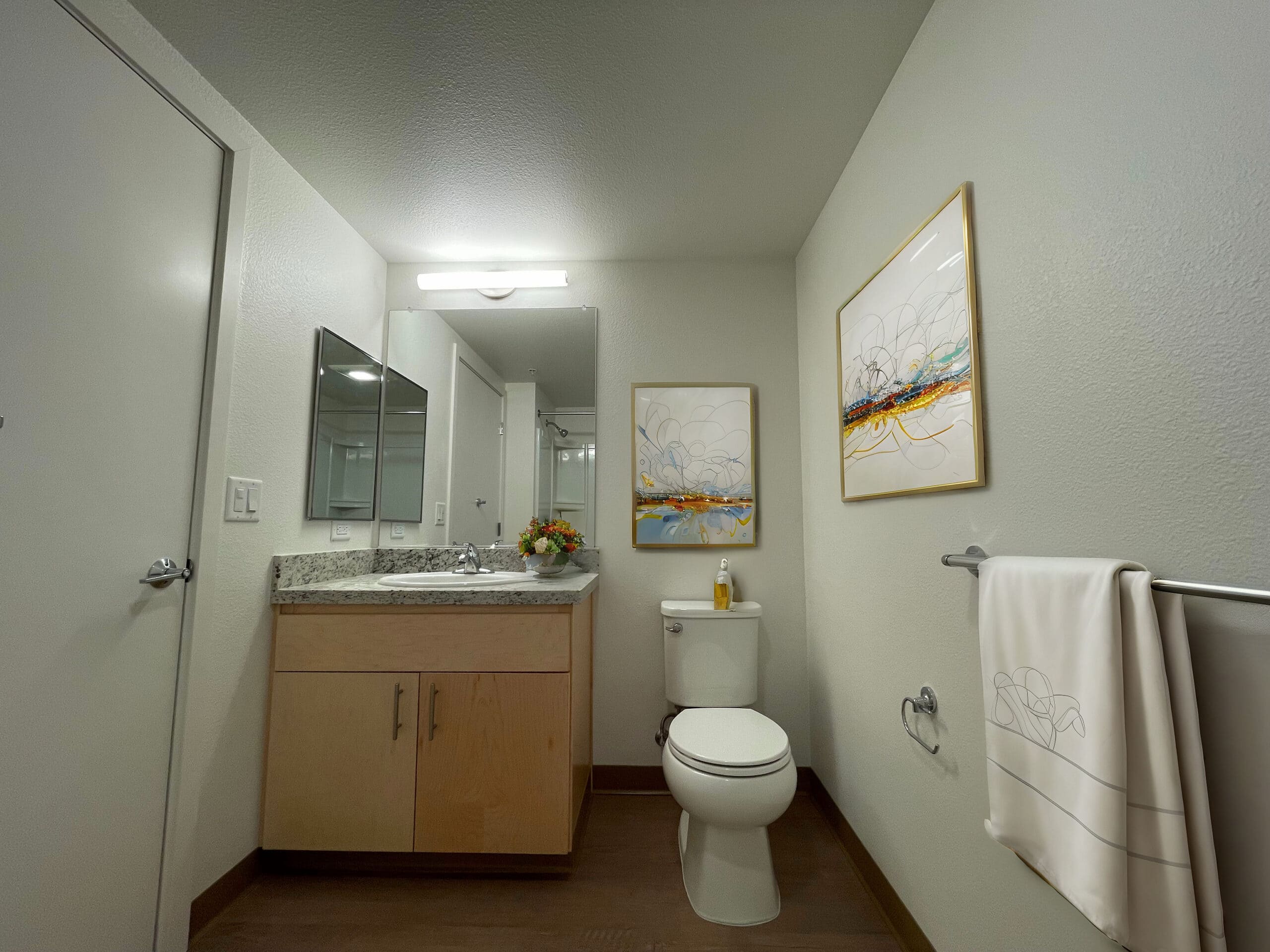 Bathroom Vanity