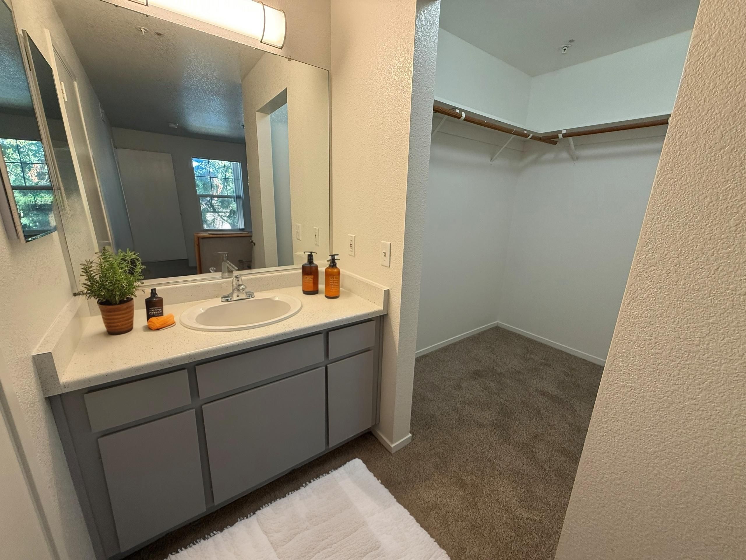  Bathroom & Walk-in Closet